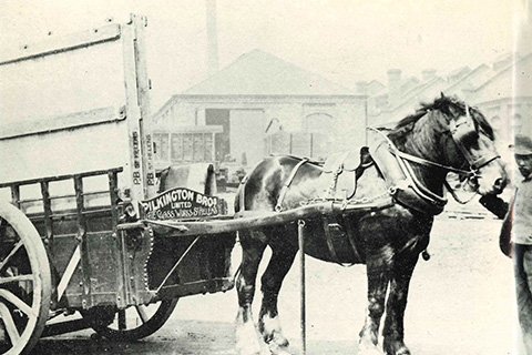 Horse and cart for local glass deliveries.