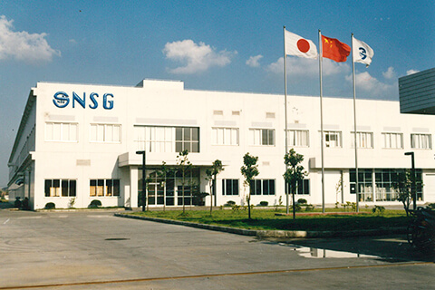 Suzhou NSG Electronics