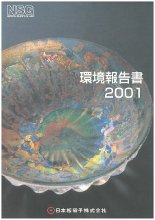 The first Environmental Report, published in 2001